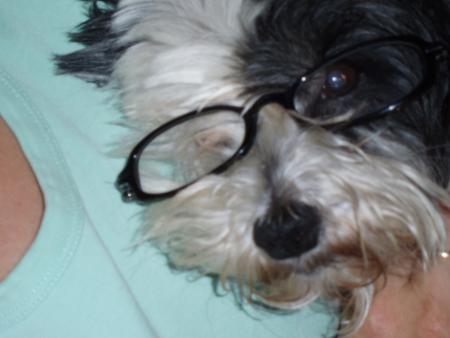 mn chien